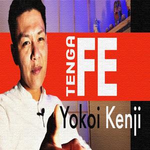 TENGA FE Sr. Yokoi