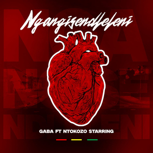 Ngangisendleleni