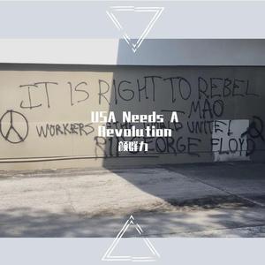 USA Needs A Revolution (美国需要一场革命）