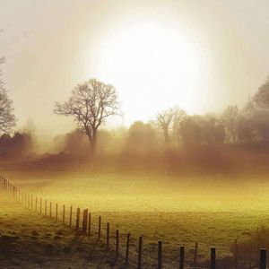 烟雨楼中伊人醉 (7)