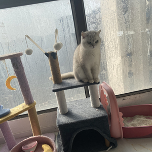 偷你的表情包则成了回忆