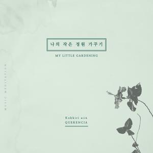 씨앗 심기