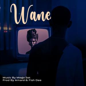 Wane