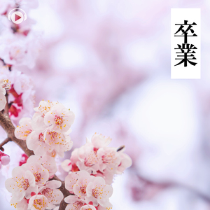 Reservation (feat. 異音@iON)