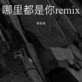 哪里都是你・2024 (崔金海 remix)