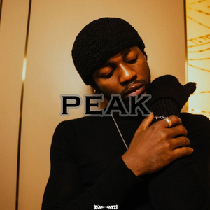 Free Omah Lay x Afro Type Beat “Peak”