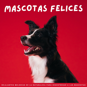 Patas Peludas