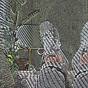 Imply