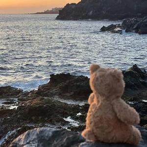 人的一生总是在等