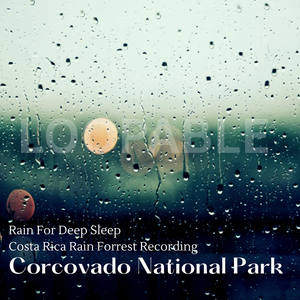 Costa Rica Rain Forrest Recording Corcovado National Park (360 Surround Sound 8D)