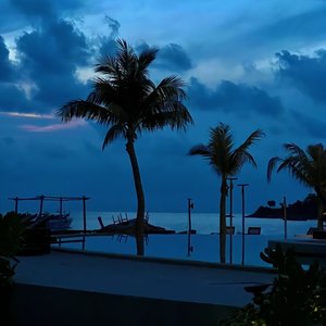 雨过后的风景（DJ空灵鼓）