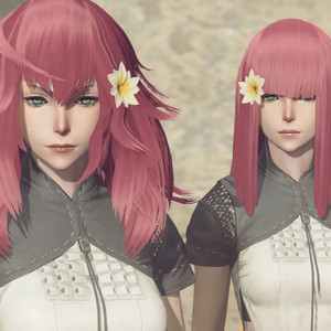 尼尔-机械纪元 Song of the Ancients / Atonement（手风琴）