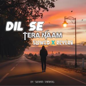 Dil Se Tera Naam (Slow Version)