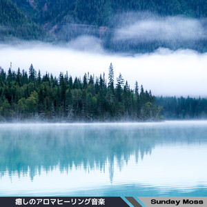 Silver Threads Among Stars