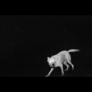 Bump Boys There Remix