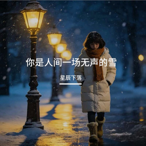 你是人间一场无声的雪