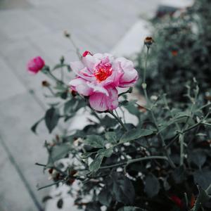 未来、与你