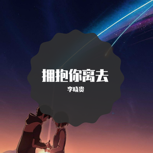 张北北-拥抱你离去（李晓贵 remix）