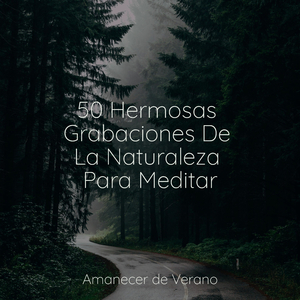 Derivando hacia la eufonía