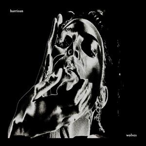 wolves (i need u now)