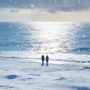 我的后来再也没有你的参与