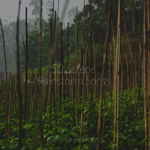 Song of the Gentle Meadow