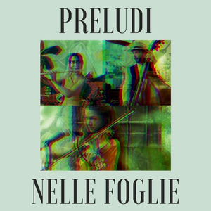 Acero (Live at Casa Raphael)