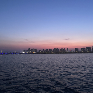 世界因你而美丽