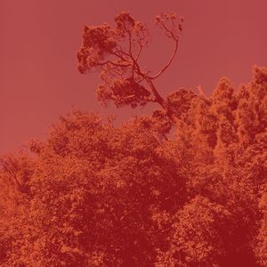 微妙的温泉心情