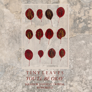 You'll Be Okay - Equador Rework