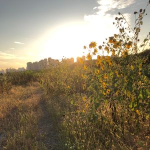 口琴版Still Talking To You