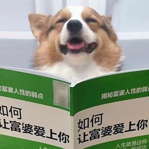 我有空了_QQ浏览器转格式