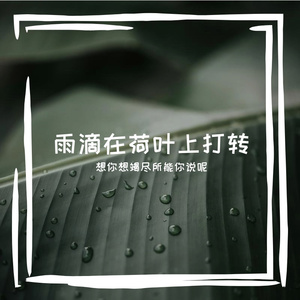 雨滴氛围1
