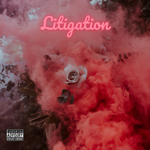 Litigation