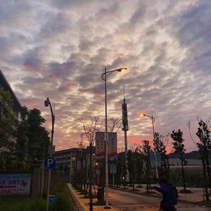 【Free Beat】Chill----guitar type beat