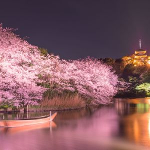 Peaceful Piano Nature