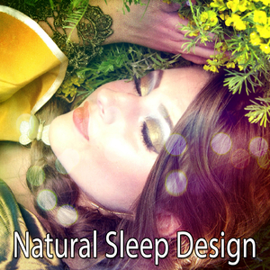 Soft Waves Across the Rocks