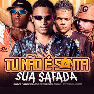 Tu Não É Santa Sua Safada