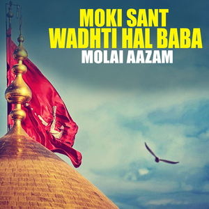 Moki Sant Wadhti Hal Baba (1)