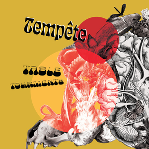 C'est quoi ça Tempête?