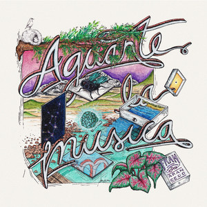 Candombe de la Bromelia