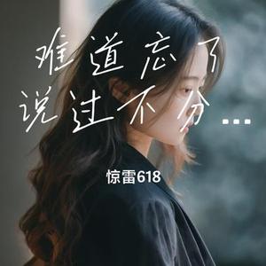 难道忘了说过不分开