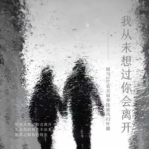 我从未想过你会离开