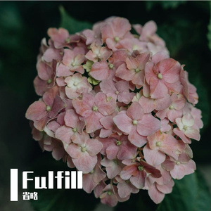 WILDFLOWER (cover: Billie Eilish)