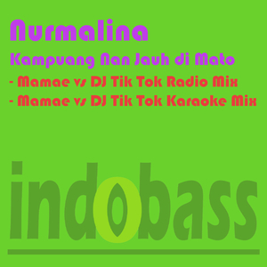 Kampuang Nan Jauh Di Mato (Mamae vs DJ Tik Tok Radio Mix)