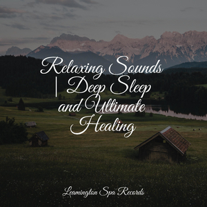 Relaxation