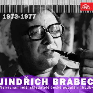 Poslouchám líný déšť