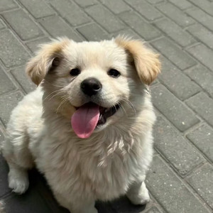 盼着长大的夏天