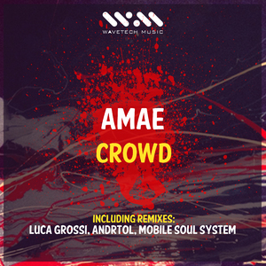 Crowd (ANDRTOL Remix)