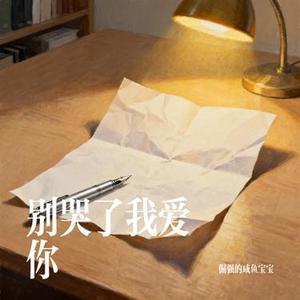 别哭了我爱你